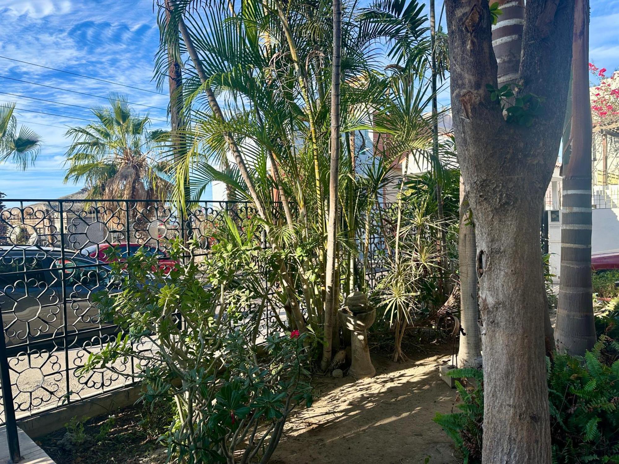 Casa Kismet Tu Destino En La Paz Suite 1 Екстериор снимка